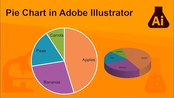 Pie chart in Adobe Illustrator