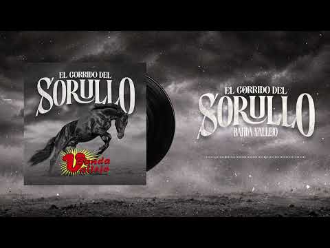 El Corrido Del Sorullo - Banda Vallejo (Visualizer)