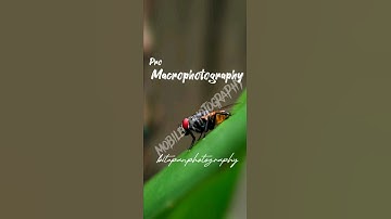 Try this Macrophotography hack 😱🔥 - || photography || Do subscribe ❤️ #photographer #photography