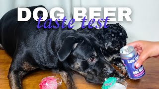 Dogs Try Their First Beer | Yappy Hour