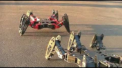 PhantomX Hexapod Demo
