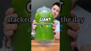 🥬🍍🍋💦 GIANT drink your greens stacked water of the day #hydration #drinkyourgreens #electrolytes