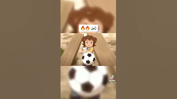 زين من ابطال الكرة الفرسان 