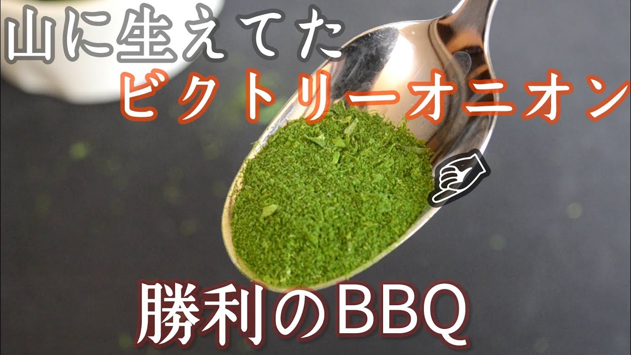 勝利の玉ねぎ 山で採ってきたビクトリーオニオンで作るドライラブと震える柔らかさの豚バラポークbbqを作る Youtube