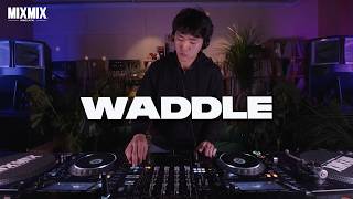 WADDLE / EXCHANGE PROGRAM — NYC → SEOUL 🇺🇸✈️🇰🇷 | MIXMIX @ XIMXIM SEOUL