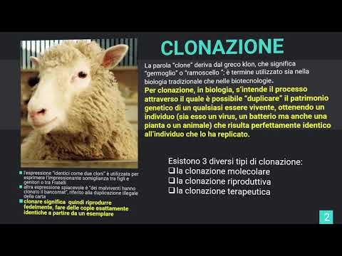 Video: Qual è un esempio di clonazione terapeutica?