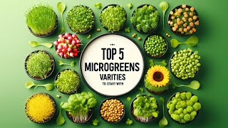 Top 5 Varieties Microgreens to start with