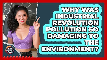 Why Was Industrial Revolution Pollution So Damaging To The Environment? - The Everyday Why