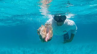 Episode 3 - Conch , Mackerel, Yellowtail *Catch & Clean* (Bahamas Independence Weekend)