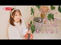 ゆるゆるライブ🍵🎻