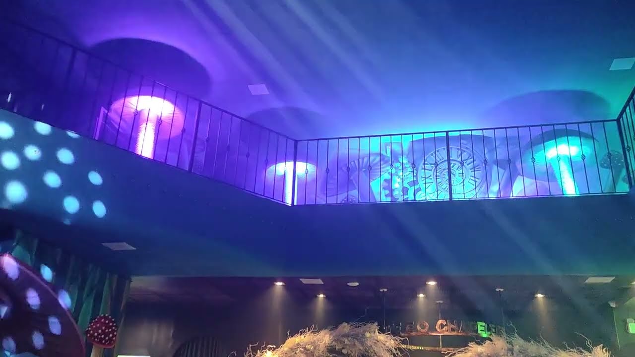 Restaurante Alice e o Chapeleiro (Apresentação) - Gramado