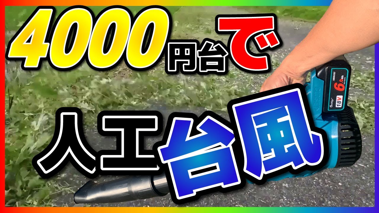 The super cheap blower I bought for washing my car is the best