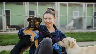 How you can help Richmond pets in need find a home for the holidays