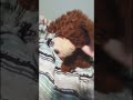Beary does a flip
