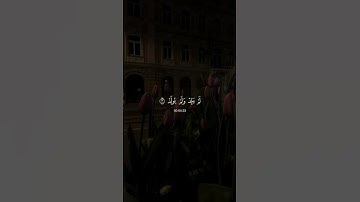 سورة الاخلاص | القارئ ماهرالمعيقلي | 🖤🥀 #قران_كريم #ماهر_المعيقلي #اكسبلور_فولو
