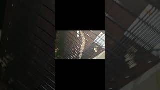 Whirlpool fridge no cooling problem jali leakage #shorts