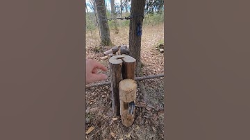 DIY TV dvd stands out of logs for the tent #short