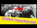 Согушта БОМБА ташыган АЮ!!! Тез коргуло  Укмуштар ТВ шумдук видео