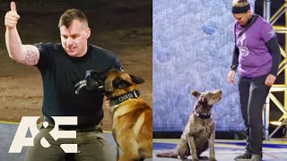 Police K9 vs. RECORDSETTING Underdog for the $20K WINNING PRIZE | America's Top Dog | A&E