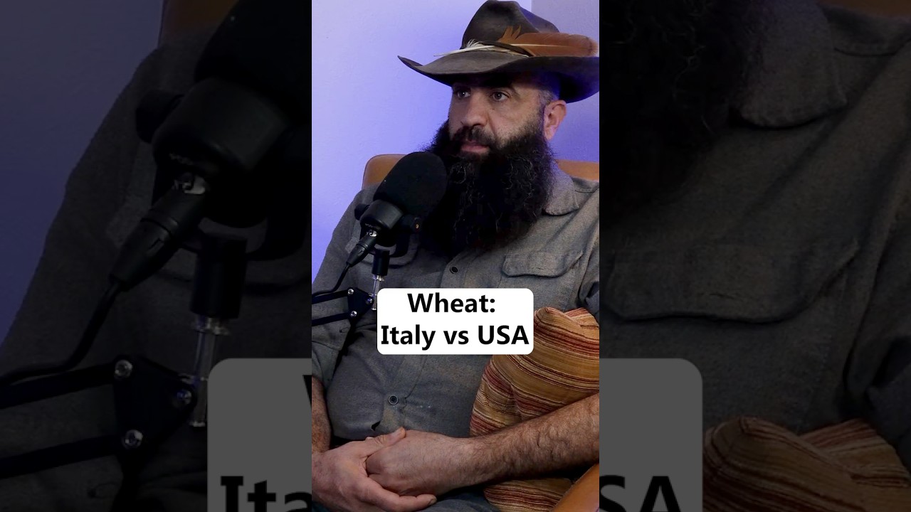 Thousands of years of eating wheat and now we can’t...what  changed?