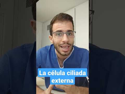 Video: ¿Dónde se encuentra la célula ciliada?