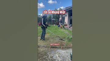 Cắt cỏ nhung nhật. Chăm sóc sân vườn. Trồng cỏ nhung nhật. Cảnh quan sân vườn. Cỏ nhung nhật. Cắt cỏ