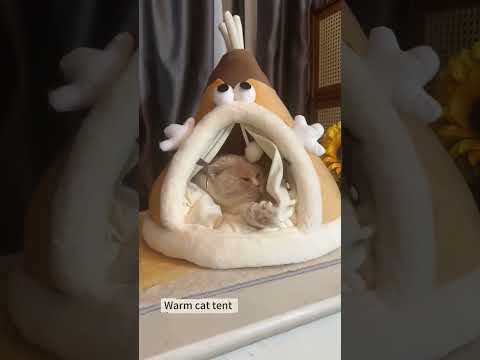 Tent for cat #bestpetsupplies #petcareprovider #pets