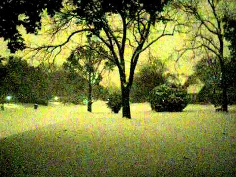 Dallas  Super Bowl ...... Blues (before) Sunrise Albert King