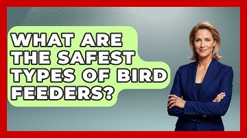 What Are The Safest Types Of Bird Feeders? - Bird Watching Diaries