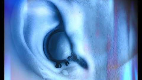 Microsoft TechEd Animation 2006