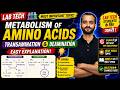 Metabolism of Amino Acids | Transamination & Deamination Explained Easy | Lab Tech Biochemistry