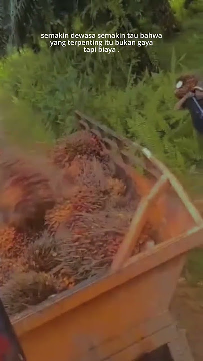 STORY WA || YANG TERPENTING ITU