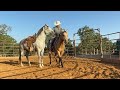 Is this Reactive Horse ready to Ride?