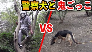 元自衛官vs警察犬で鬼ごっこしてみた！逃げ切れたら100万円！【ドッキリ、ラファエル】