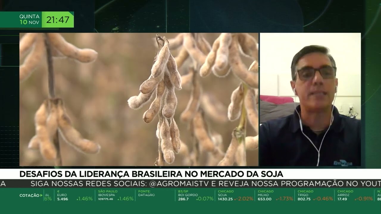 Desafios da liderança brasileira no mercado da soja