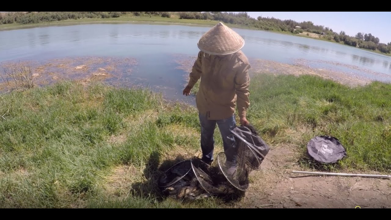 Baliq ovi. Sirdaryo. Melodiya