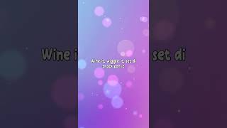 Sean Paul - SHE DOESN'T MIND (CLEAN) Lyrics