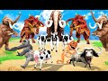 10 mammoth elephant vs 10 giant buffalo vs 10 cow fight cow cartoon buffalo saved by giant gorilla