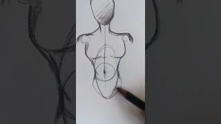 female anatomy , drawing'!