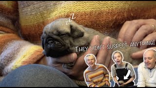 Surprising Chelsey's Family with our New 3 Week Old Puppy!