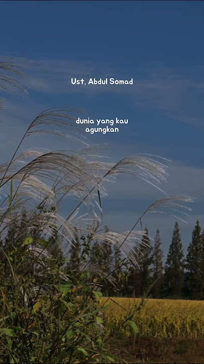 ceramah || ceramah story || ceramah story WA || ceramah story WA 30 detik || ustadz Abdul somad