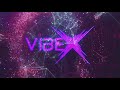 Techno Vibes #1 Mix 2024 | VibeX