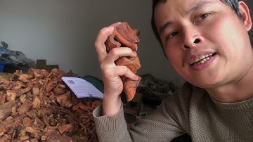 Rễ mú từn khô nguyên chất loại 1 danh cho các bâc yếu sinh lý