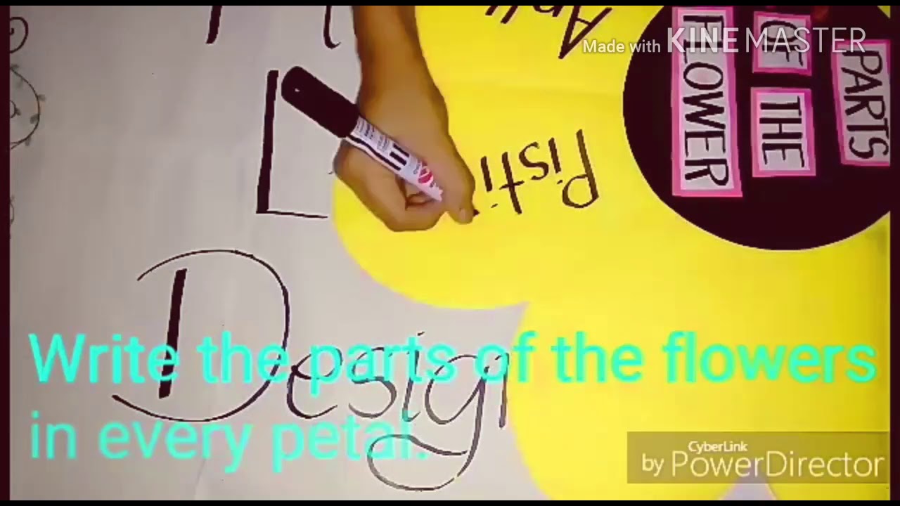 Instructional Material Flower Design Graphic Organizer YouTube