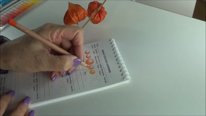Creative Colour Mixing Workbook Introduction