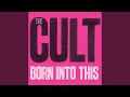 The Cult - Born into This