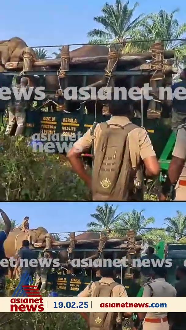 'കുമാറേ... പുഷ്... സൈഡിലേക്ക് കൊണ്ടുവാടാ...', തള്ളിക്കയറ്റി കുങ്കികൾ