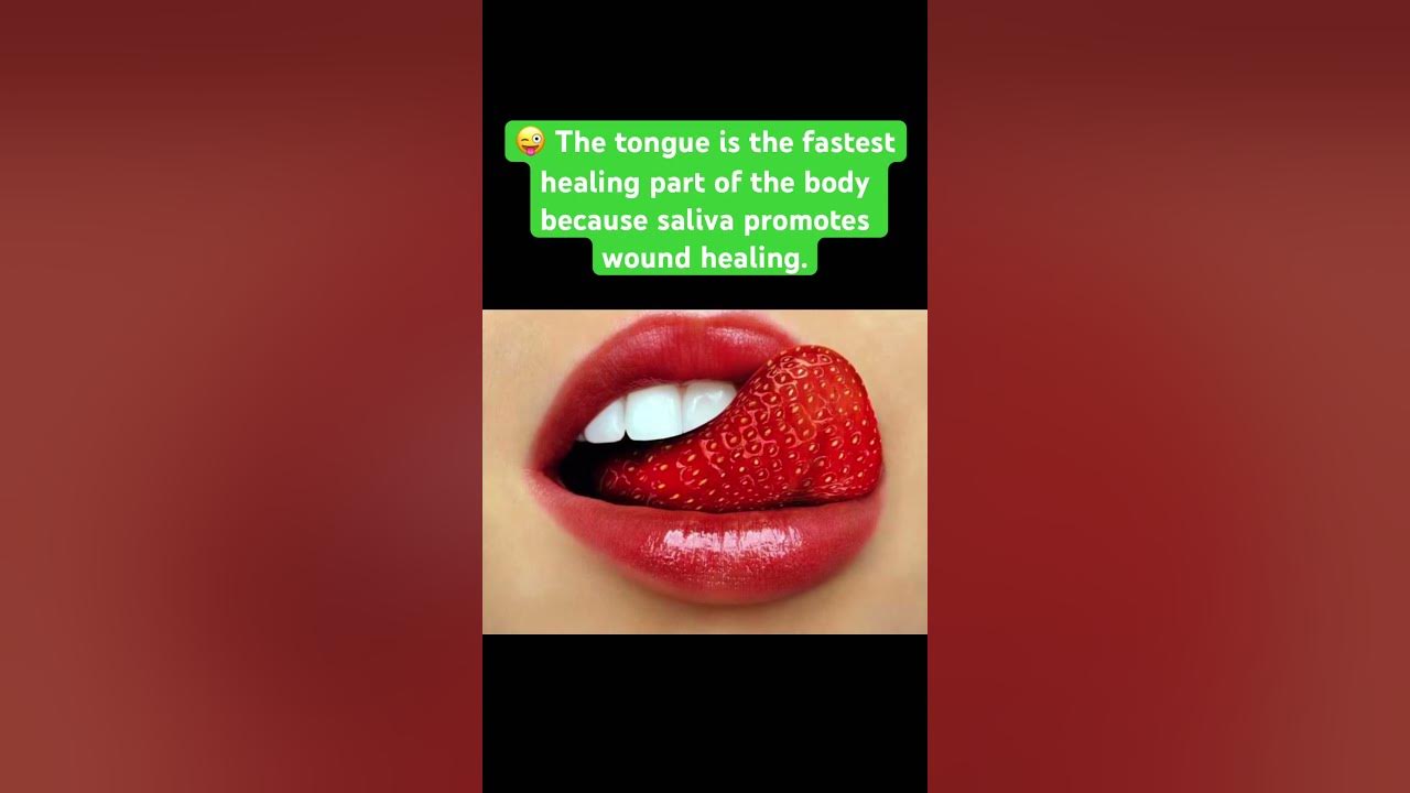 Is The Tongue The Fastest Healing Part Of Your Body 😜 The tongue is the fastest healing part of the body #interestingfacts