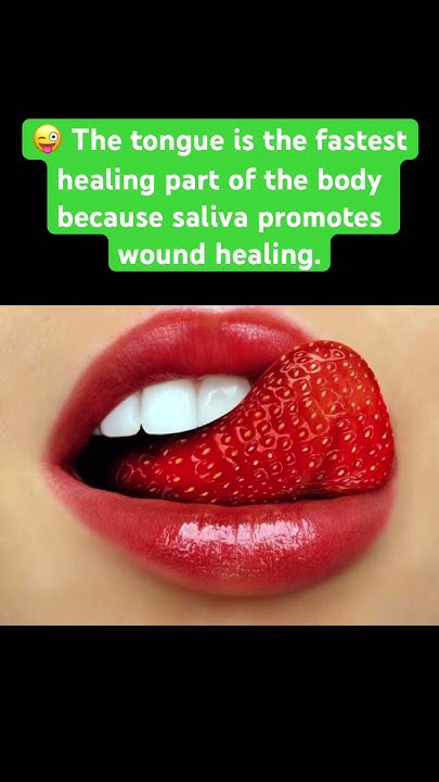 Is The Tongue The Fastest Healing Part Of Your Body 😜 The tongue is the fastest healing part of the body #interestingfacts