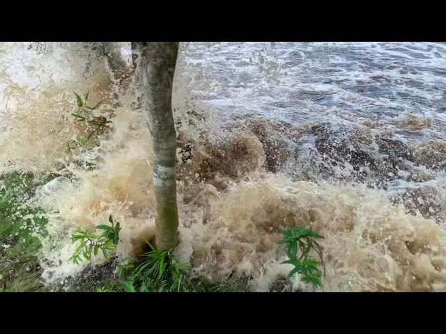 ombak bono, fenomena alam, tidal bore, River Tidal Waves, tsunami, dan buaya..? class=